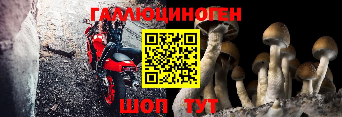 Железноводск  Галлюциногенные грибы Psilocybine cubensis  Вход с VPN  Галлюциногенные грибы GOLDEN TEACHER 