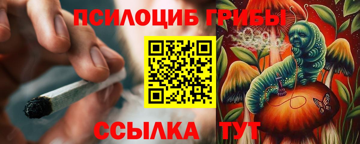 Псилоцибиновые грибы Psilocybe Железноводск
